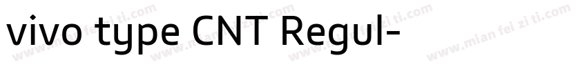 vivo type CNT Regul字体转换